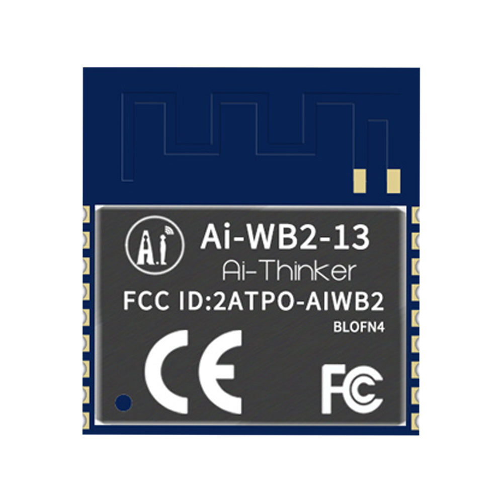 Ai-WB2-13