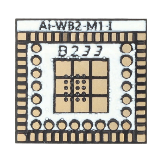 Ai-WB2-M1-I